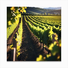 Vineyards In California Canvas Print