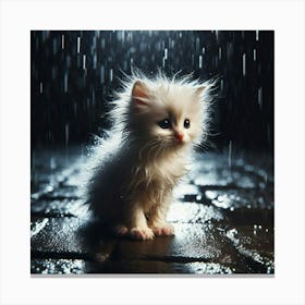 Kitten In The Rain 2 Canvas Print