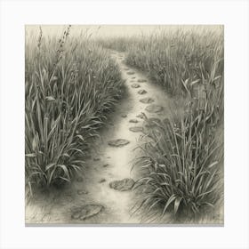 Path In The Grass Canvas Print