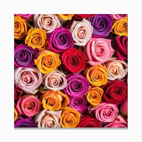 All Roses Colors Flat As Background (37) Canvas Print