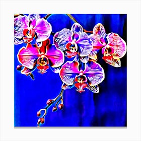 Orchids On A Blue Background Canvas Print