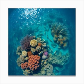 Great Barrier Reef60 Canvas Print