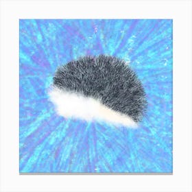 it's a hedgehog! Canvas Print