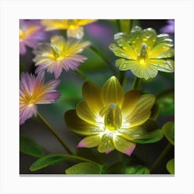 Lotus Flower Canvas Print