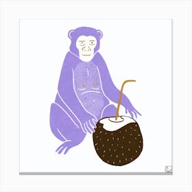Purple Monkey With Coconut Square Canvas Print