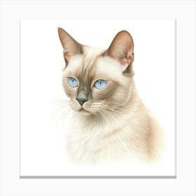 Burmese Platinum Cat Portrait 2 Canvas Print