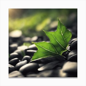 Green Leaf On Rocks Canvas Print