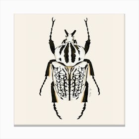 Beetle Black And White Square Canvas Print