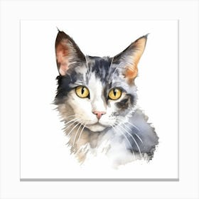 Oriental Bicolour Cat Portrait 3 Canvas Print