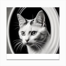 Cat In A Round Frame Canvas Print