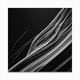 Abstract Black And White Photo Canvas Print