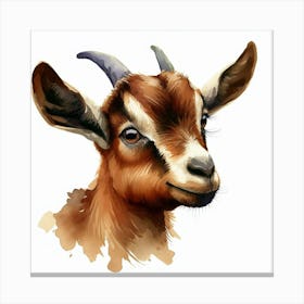 Goat Head Canvas Print