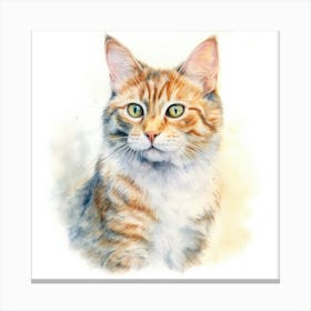 Bavarian Mountain Cat Portrait 2 Canvas Print