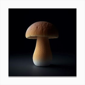 Mushroom - Mushroom Stock Videos & Royalty-Free Footage Canvas Print