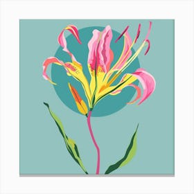 Gloriosa Lily 2 Square Flower Illustration Canvas Print