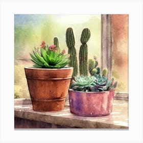 Cacti And Succulents 8 Canvas Print
