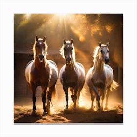 Horses In The Sun 1 Canvas Print