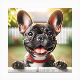 Happy French Bulldog Canvas Print