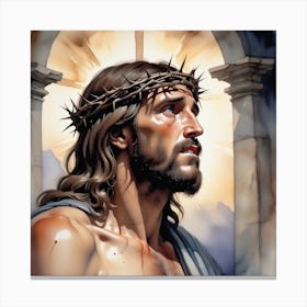 Crown Of Thorns  Canvas Print