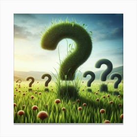 Growing Question Marks As Crops Canvas Print