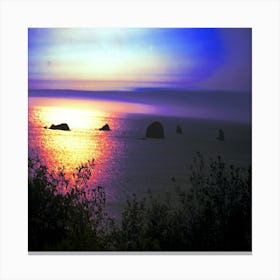 Oregon Canvas Print