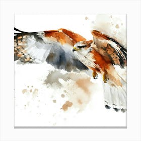 Red Kite Watercolor Painting Canvas Print