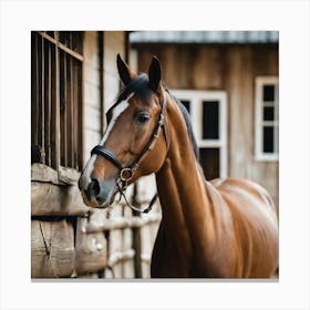 Horse Standing In A Barn Canvas Print