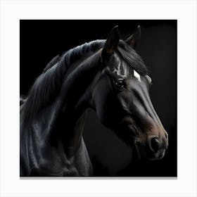 Black Horse Portrait 1 Canvas Print