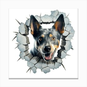 Australian Cattle Dog 2 Canvas Print