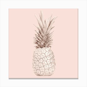 Pineapple On A Pink Background Canvas Print