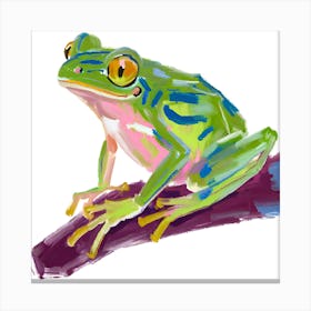 Green Tree Frog 05 Canvas Print