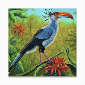 Horned Hornbill Canvas Print