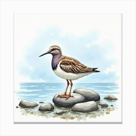 Sandpiper 3 Canvas Print