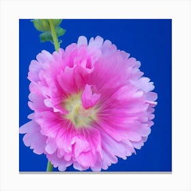 Hollyhock Flower Canvas Print