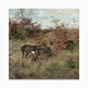 Deer In The Meadow Canvas Print