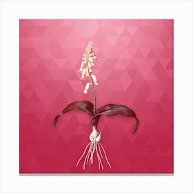 Vintage Watsonia Botanical in Gold on Viva Magenta n.0688 Canvas Print