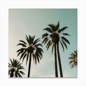 Default Palm Trees In Art Print 1 Canvas Print