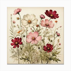 Cosmos Wildflower Vintage Botanical Art Print 2 Canvas Print