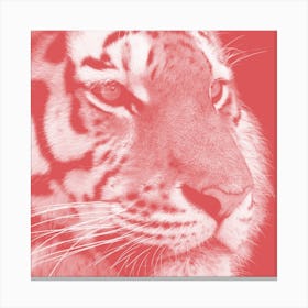 Tiger Pastel Red Square Canvas Print