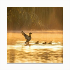 Ducks In A Pond 1 Canvas Print