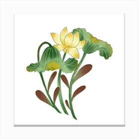 Lotus Flower 55 Canvas Print