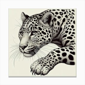 Line Art leopard 2 Canvas Print