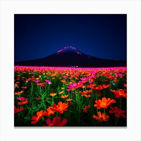 Mt Fuji At Night Canvas Print