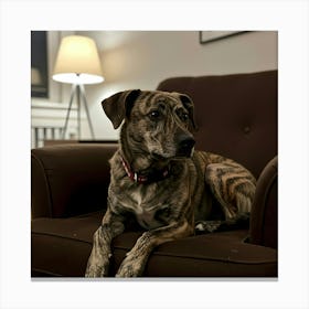 Dog Sitting In Chair Canvas Print