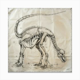 Dinosaur Skeleton Canvas Print