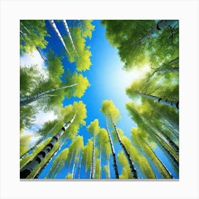 Birch Trees 73 Canvas Print