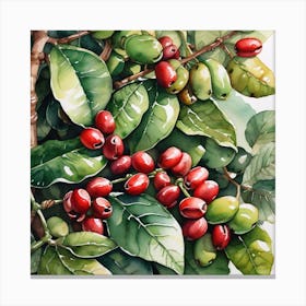 Coffee Berries 13 Canvas Print