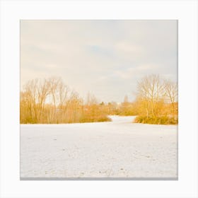Yellow trees in the snow park Canvas Print