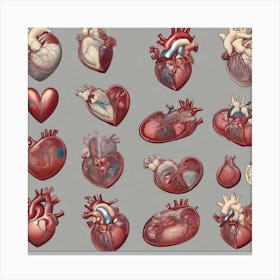 Human Heart Canvas Print