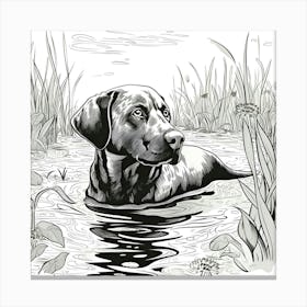 Labrador Retriever In Water Canvas Print